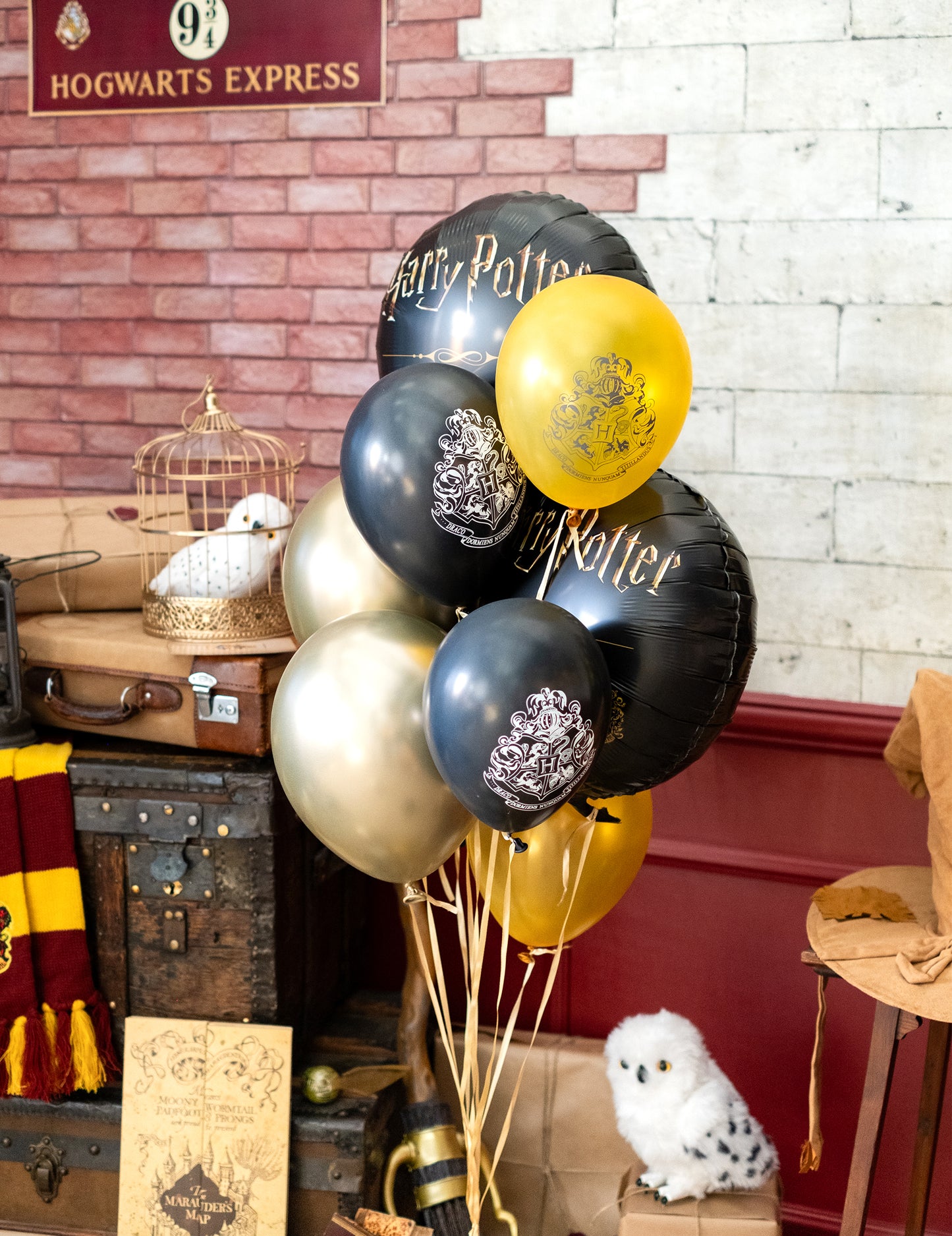 10 Harry Potter Latex Balloons 25 x 32 cm