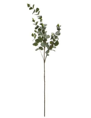 Větev Eucalyptus 98 cm