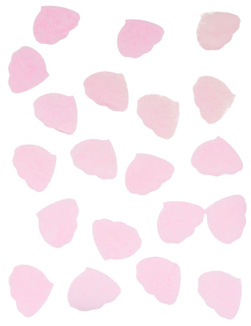 Rose Pink Pink Petal Confetti 50g Pink Paper