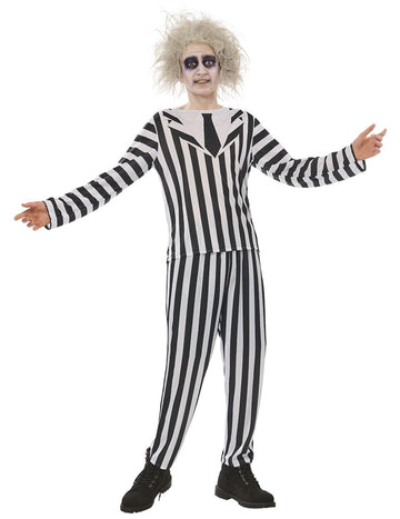 Standardní kostým Beetlejuice pro dospělé