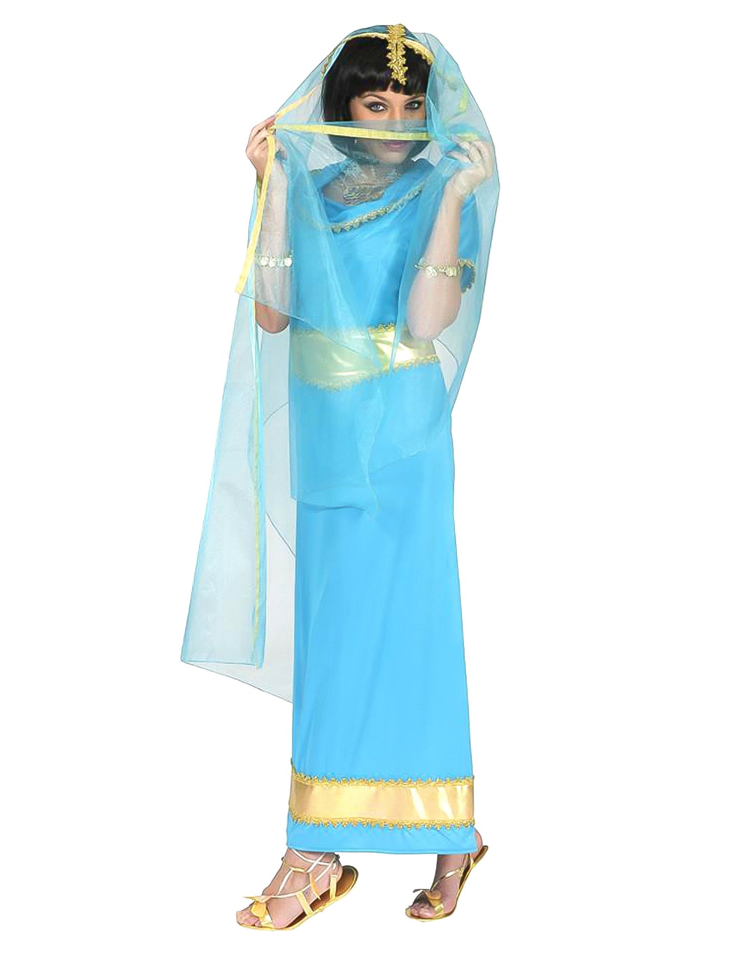 Blue Bollywood Princess Costume Woman