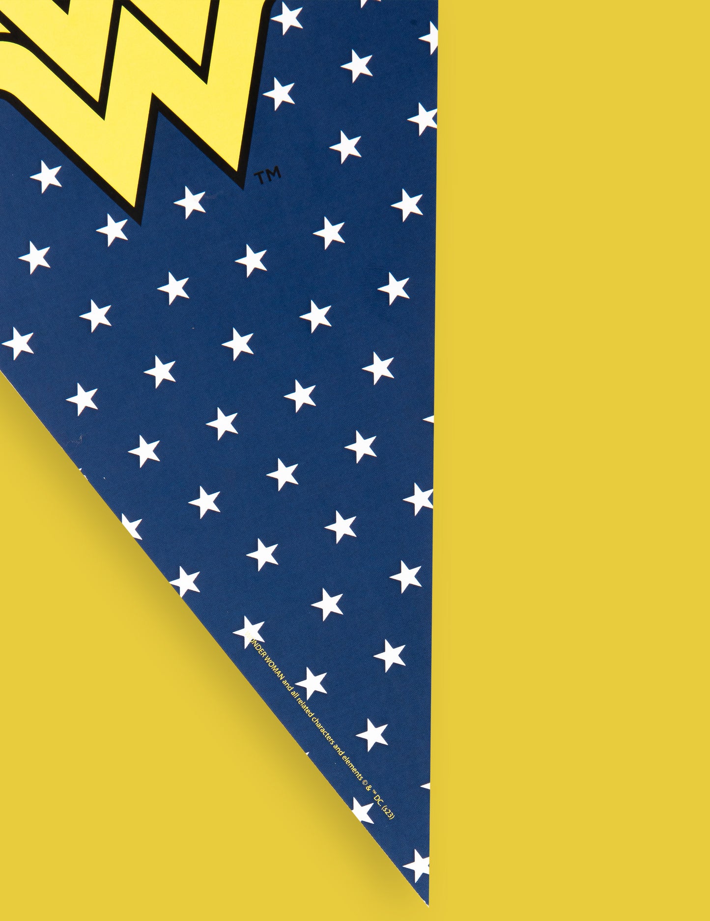 Wonder Woman 2m Pennant Garland