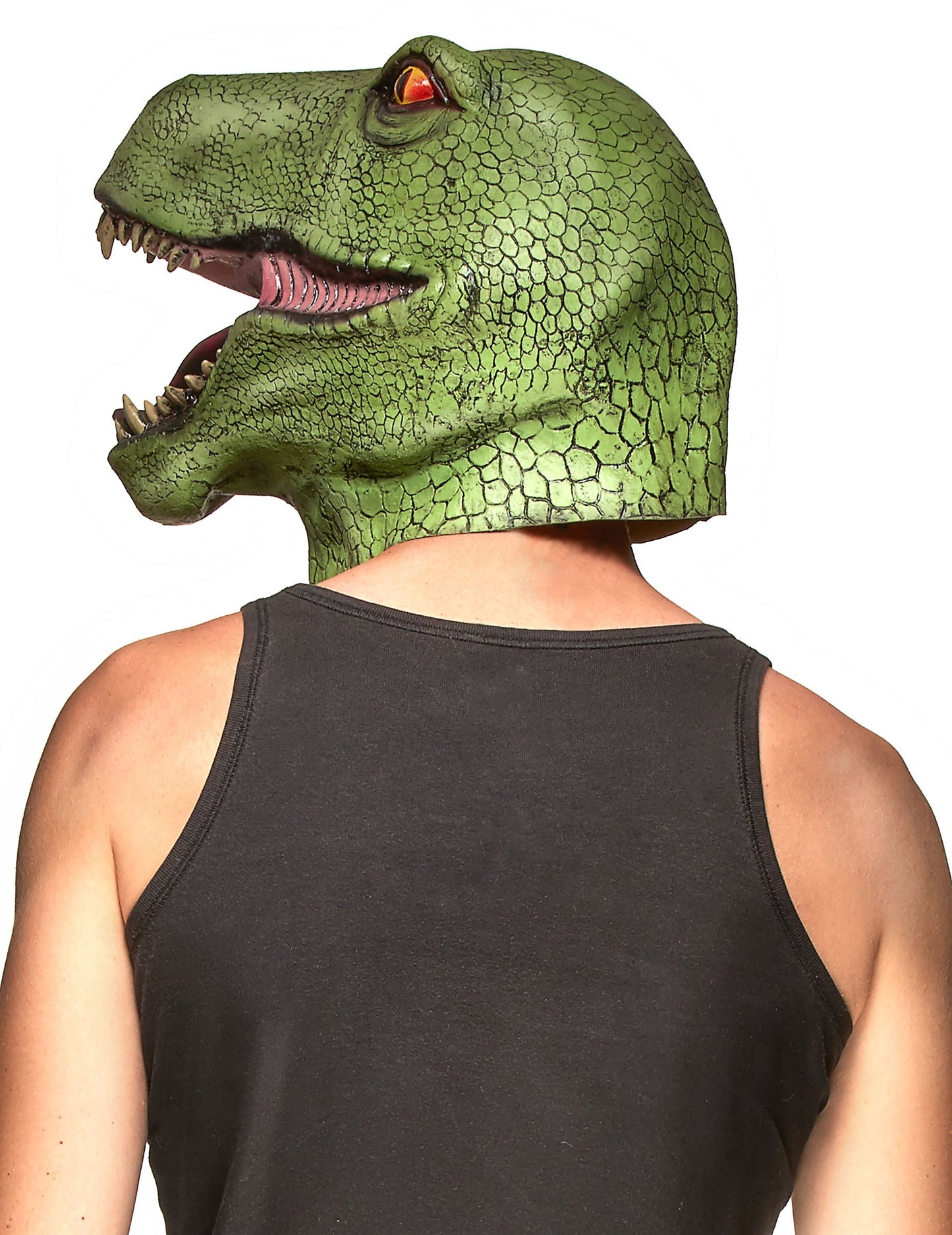 Dospělý zelené dinosaurus